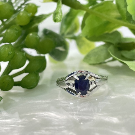 お知らせの画像