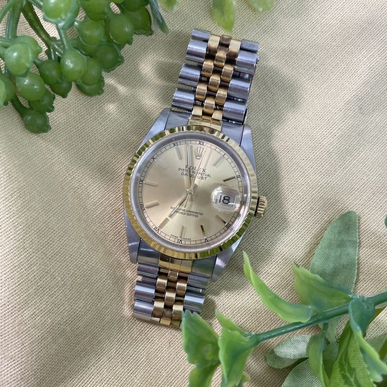 お知らせの画像