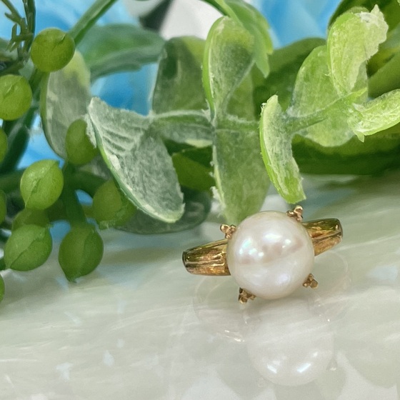 お知らせの画像